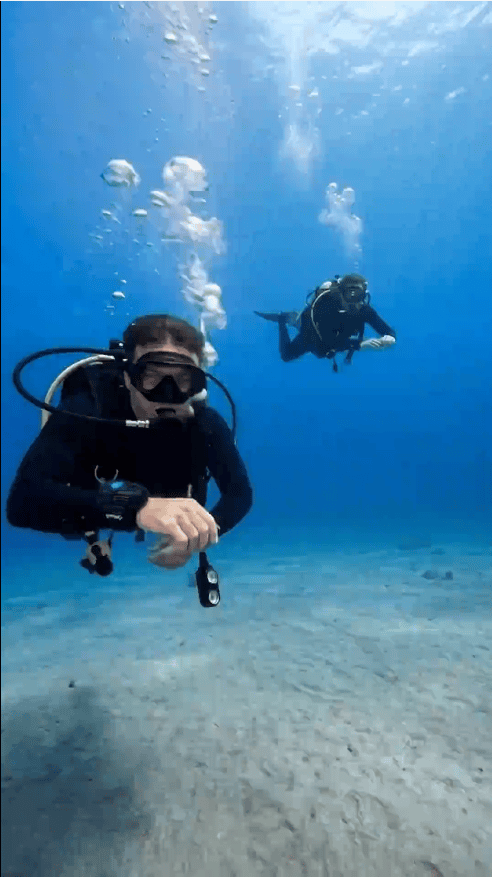Diver Video Banner